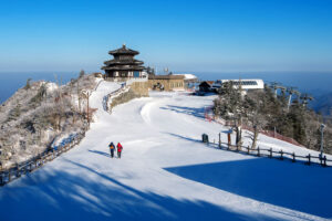 Take A Mesmerizing Trip to Nepal