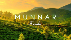 Must Visit Places in Munnar