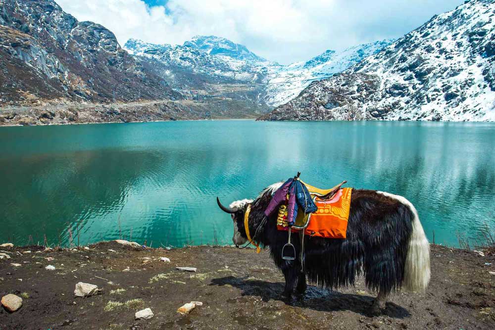 Best Tour Packages to Sikkim