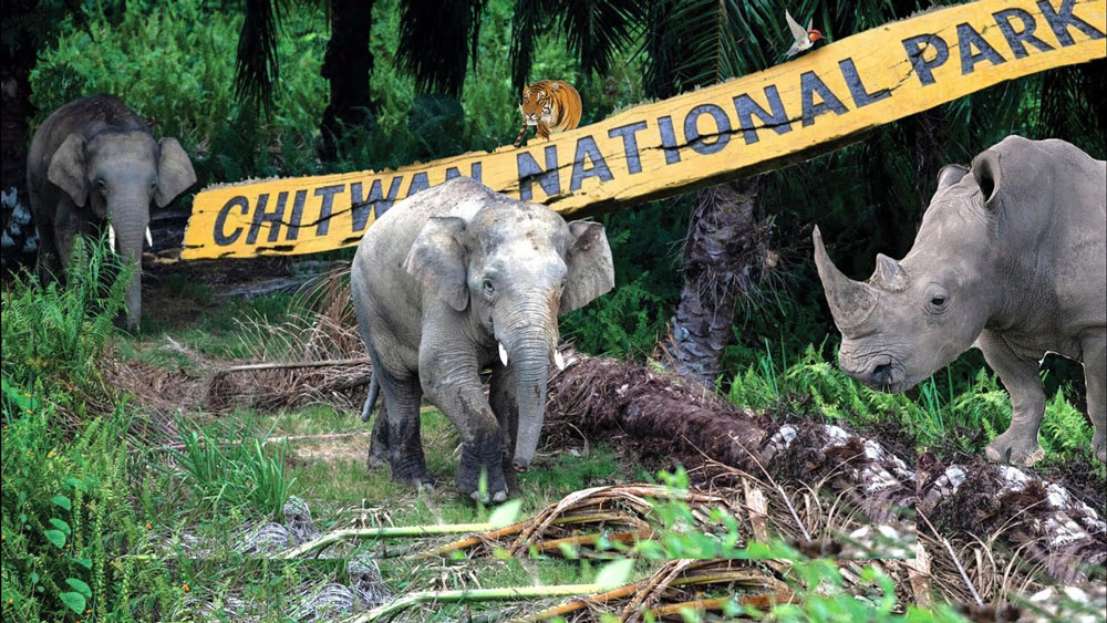 Chitwan National Park