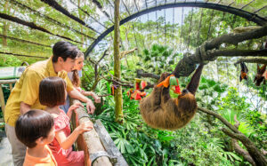 Mandai Wildlife Reserve Explore Singapore's Wildlife